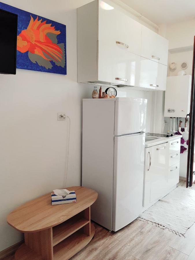Sea View Studio Mamaia Eksteriør bilde